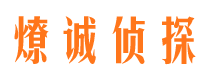 芦淞市调查公司